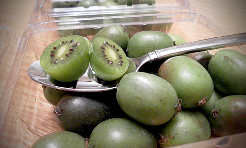 Consume Vitamina C de un maestro: El Kiwi