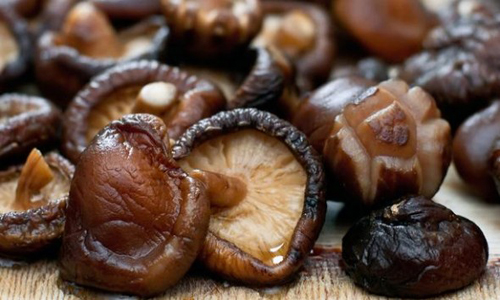 Conoce algunas de las propiedades del hongo shiitake