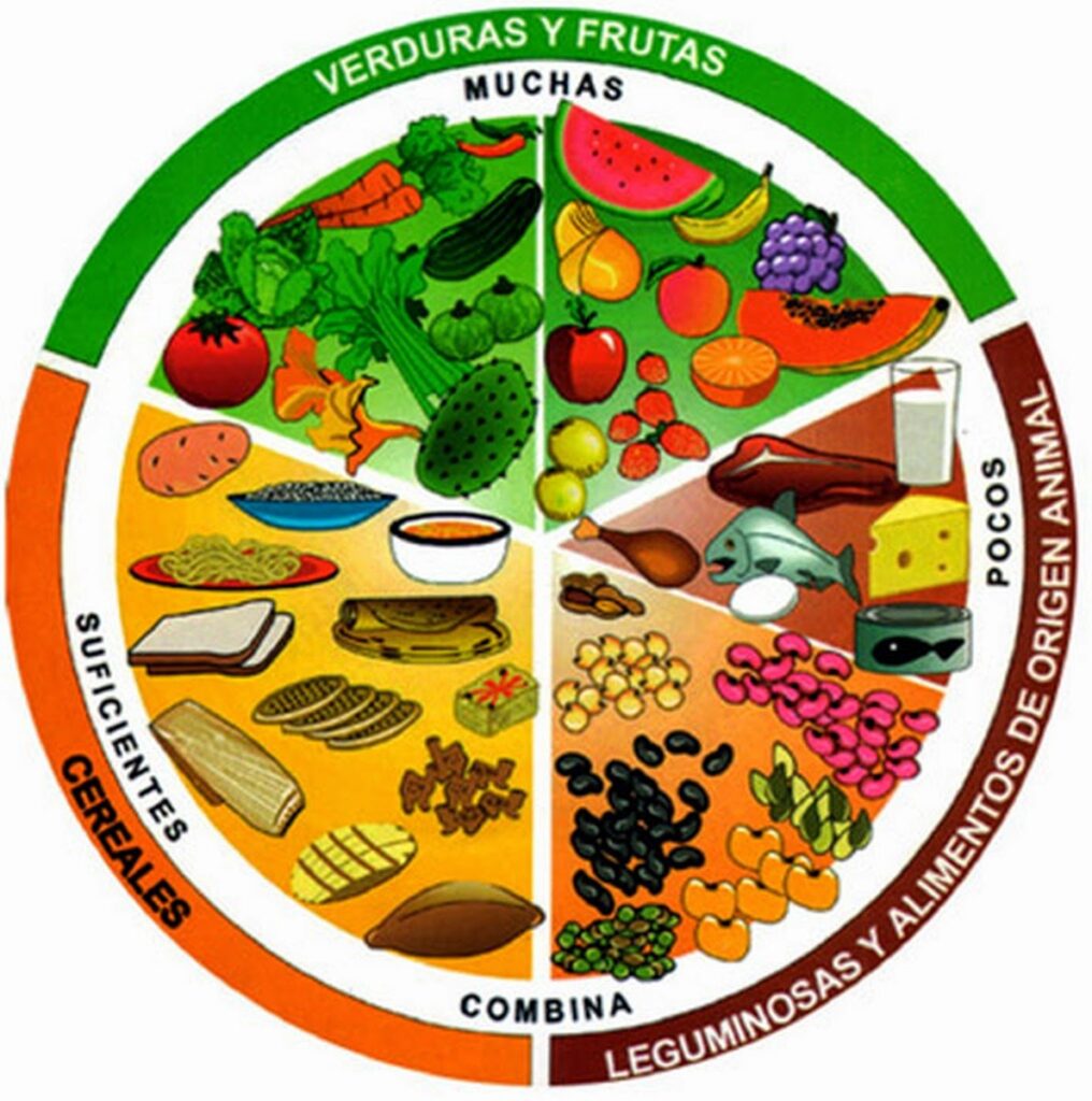 Nutrición balanceada saludable