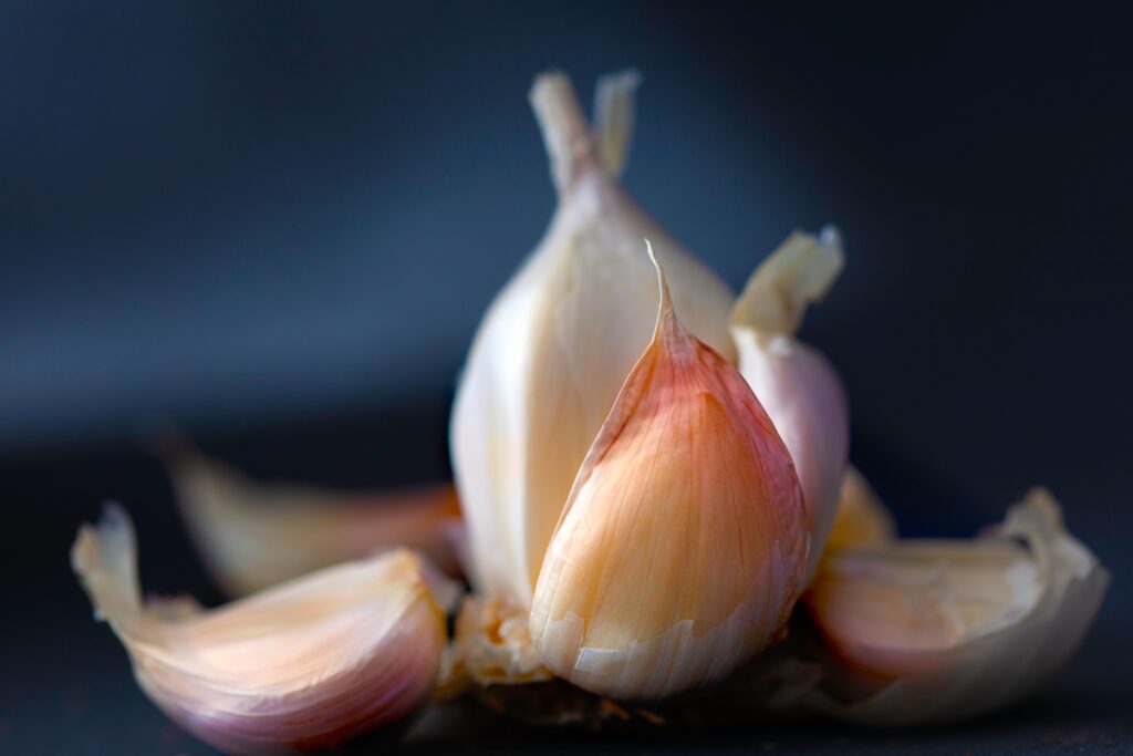 Ajo añejado bueno para la salud cardiovascular