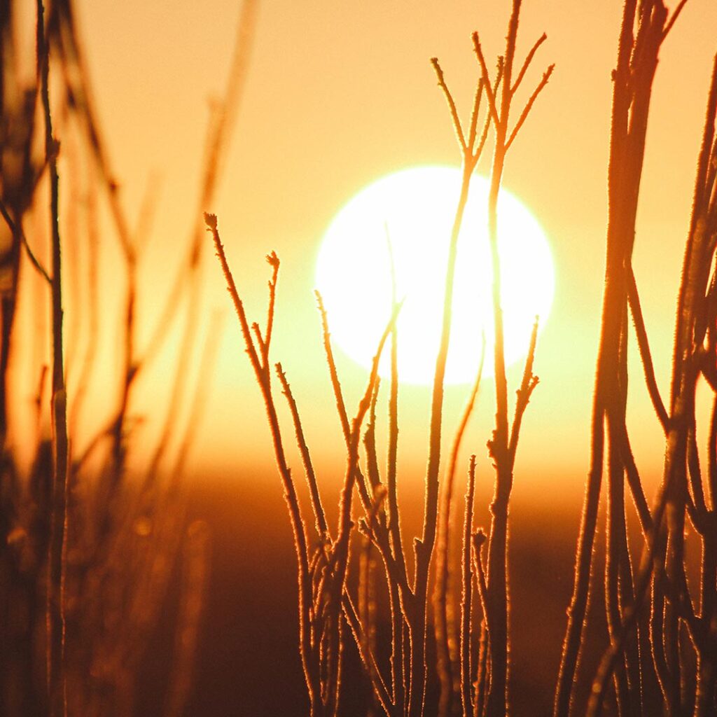 Todo sobre el cuidado de la piel y el sol