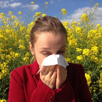 Relación entre inmunomodulación y las alergias